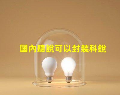 國內聽說可以封裝科銳CREE芯片的3030LED燈珠。